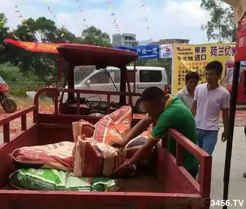 禽粪变“黄金” 今年这种肥料火了，肥料厂、经销商、农民都抢着要