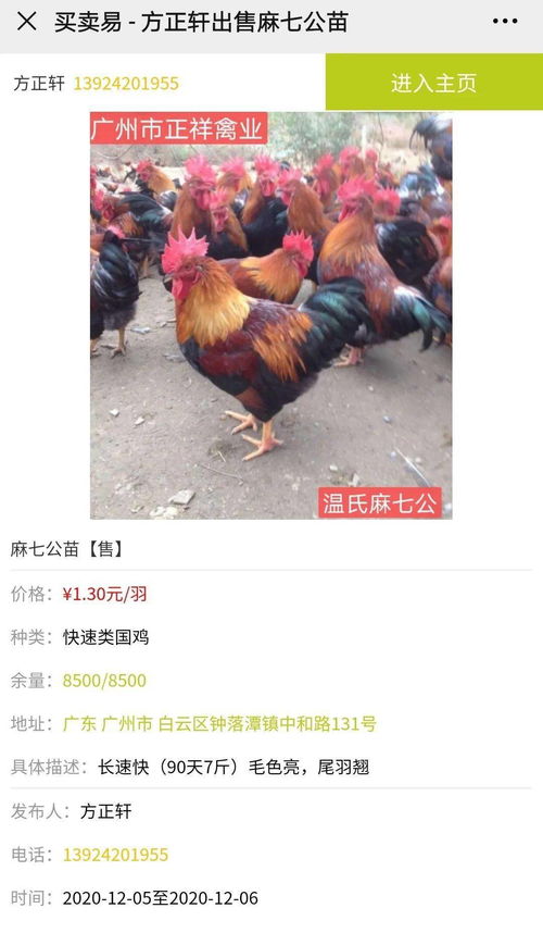 鸡价阴跌不止，家禽养殖真将面临全年亏损困局？