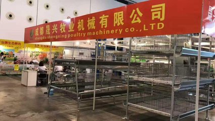 回眸首届风采，续写家禽销售新篇章