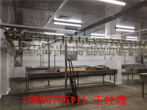 携手佛山家禽定点屠宰流水线合作单位，开启家禽销售新篇章