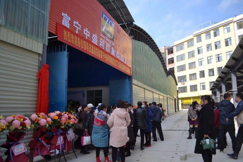 富宁首家禽类加工厂试运营，每小时屠宰2000只助力家禽销售产业升级