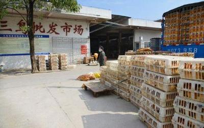 农村养殖家禽如何开拓销路？这4个高效销售途径助你无忧